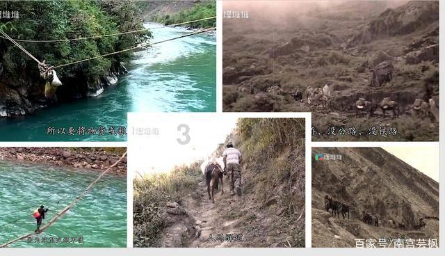 “海有好兆头,龘龘过大年”,郑州海昌国潮春节即将上线