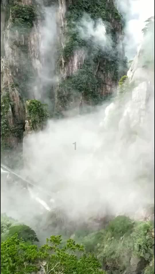 张爱玲母亲一生浪迹天涯，四海为家，为何舍不下一个箱子？